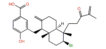 Callophycoic acid I
